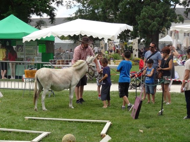 fete 2016 (241).jpg